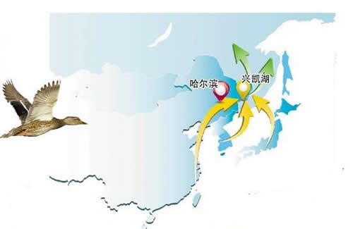 动物位置卫星监控定位系统